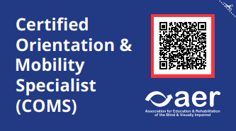 Teacher of Students with Visual Impairments (TSVI) 2x3.5 Business Card Teacher of Students with Visual Impairments (TSVI) 2x3.5 Business Card