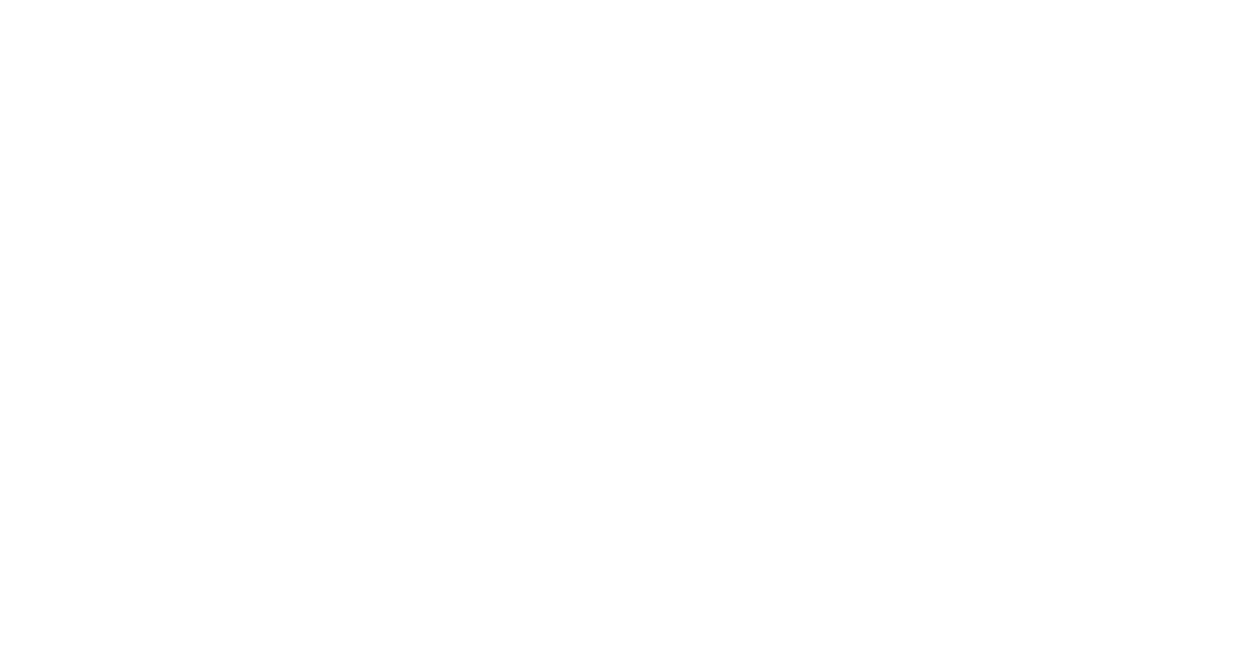 AER Orientation and Mobility Professional Division Logo